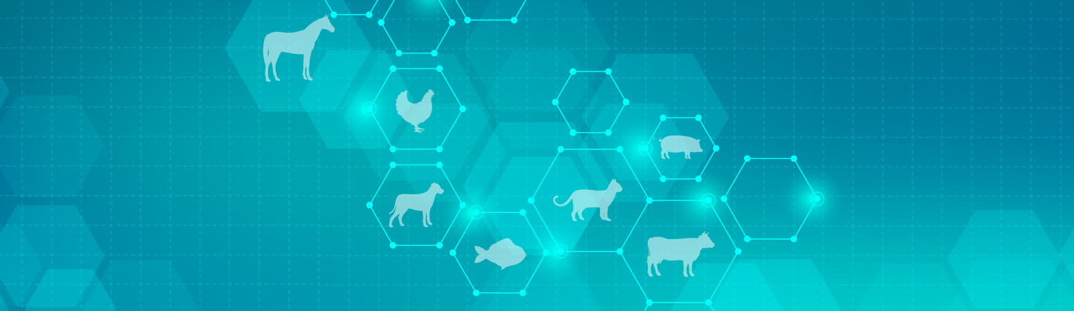 Animal Health Ventures - Merck Animal Health