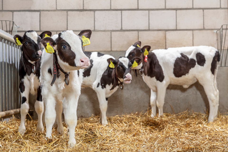 About us - Merck Animal Health About us - Merck Animal Health