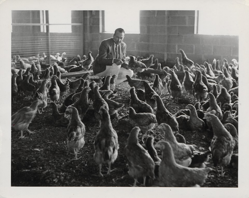 About us - Merck Animal Health About us - Merck Animal Health