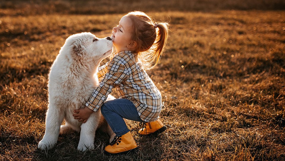 Featured Stories - Merck Animal Health Featured Stories - Merck Animal Health