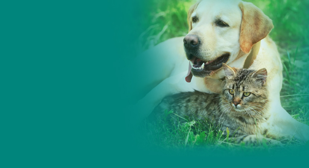 Corporate home page - Merck Animal Health Corporate home page - Merck Animal Health